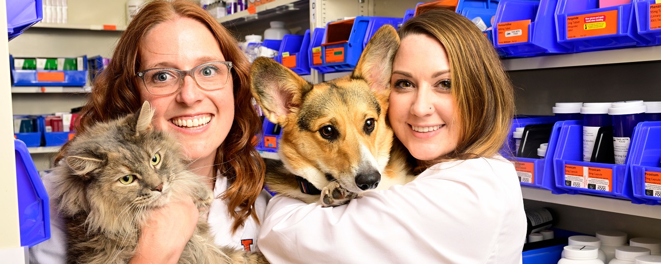 Dr. Lauren Forsythe holds Duchess the cat, and Dr. Alex Gochenauer holds Loki the corgi in the Illinois Veterinary Hospital Medication Dispensary