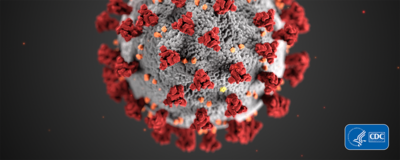 CDC image of virus up close